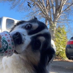 Meet your Posher, Roxanne